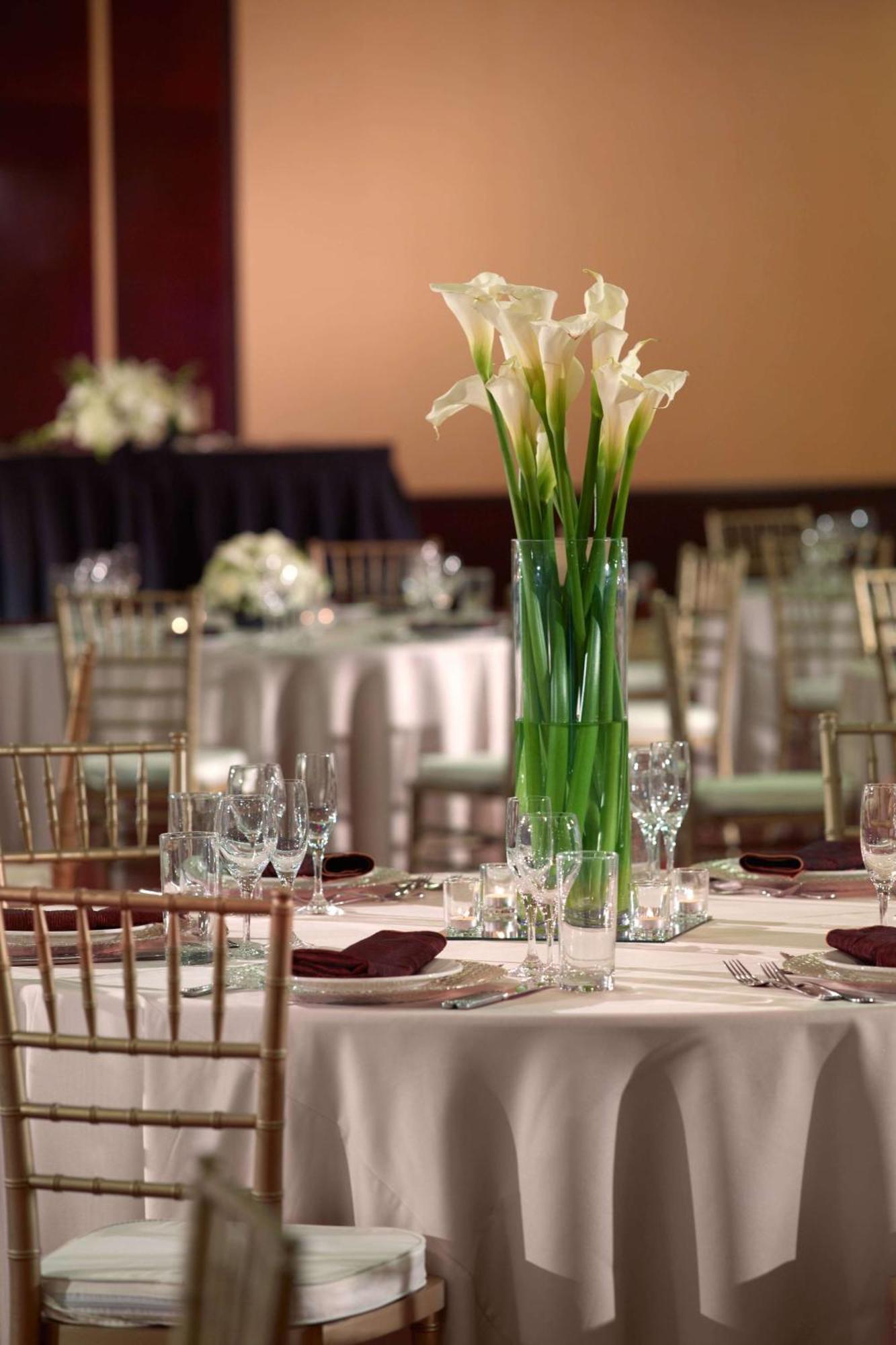 Sonesta Airport Hotel 4*