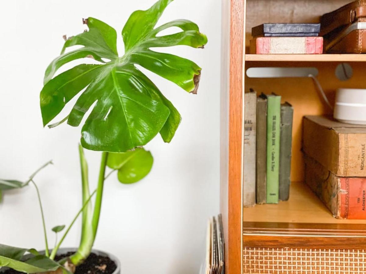 Mid-century Modern Near Downtown With Free Parking Holiday home Nashville