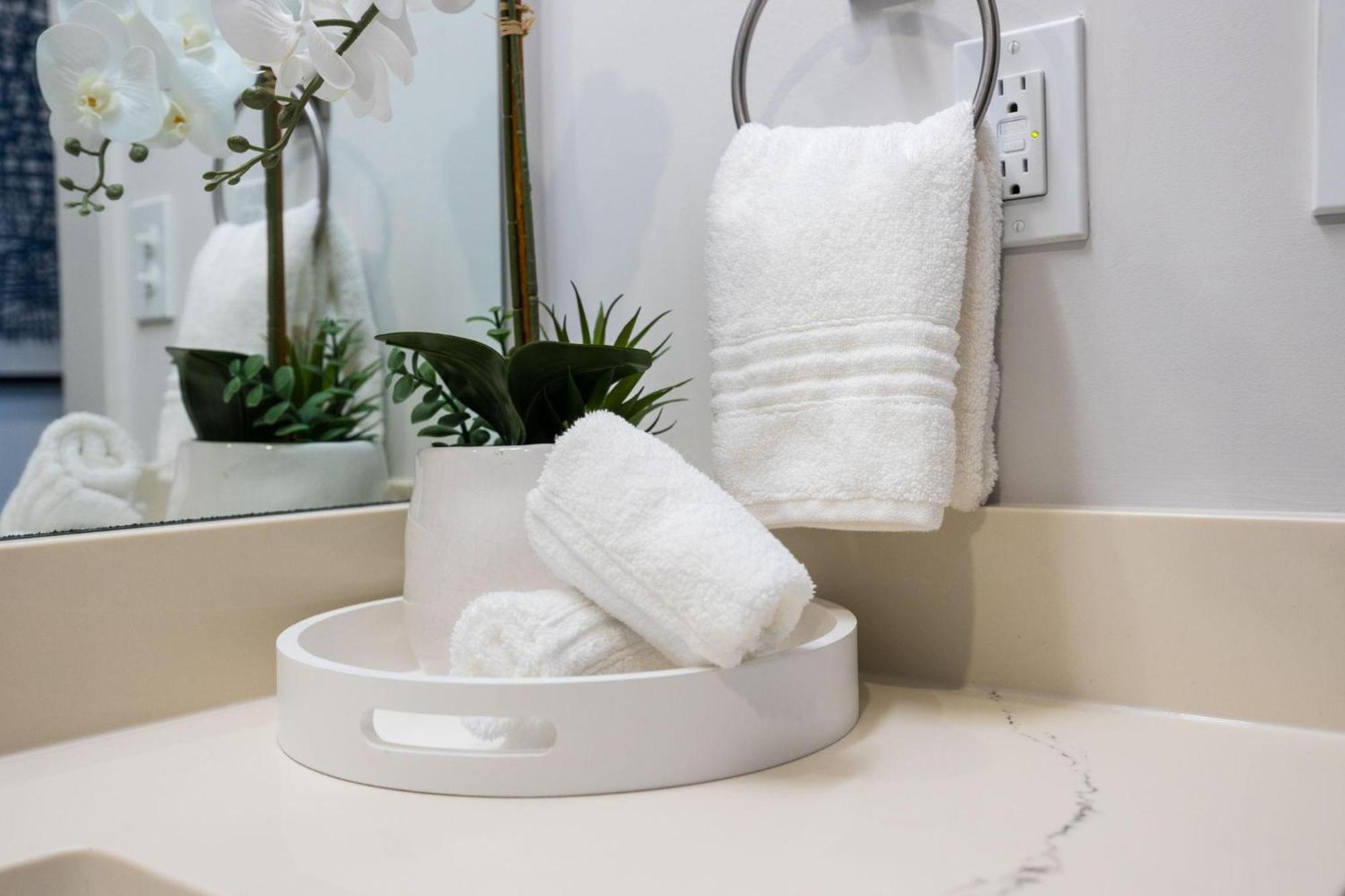 Parthenon Park-odyssey-heart Of Midtown Holiday home Nashville