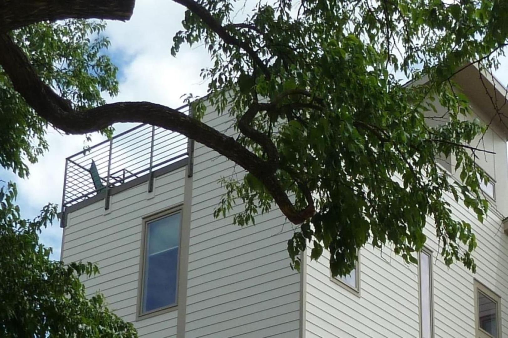 Great Location, Large - Roof Deck, Walk To Ni