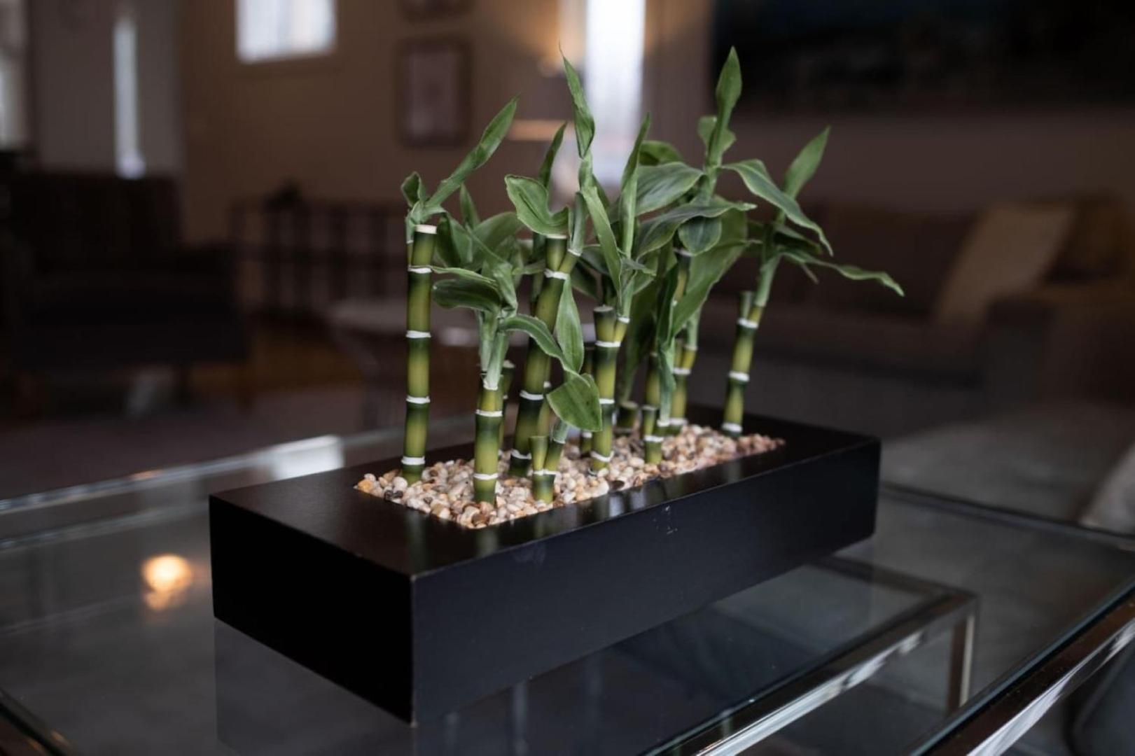 Great Location, Large - Roof Deck, Walk To Ni