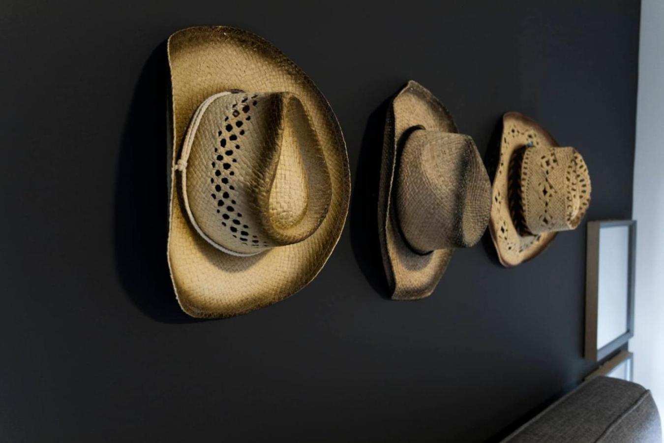 Music Harmony Beautiful Lux Rooftop Holiday home