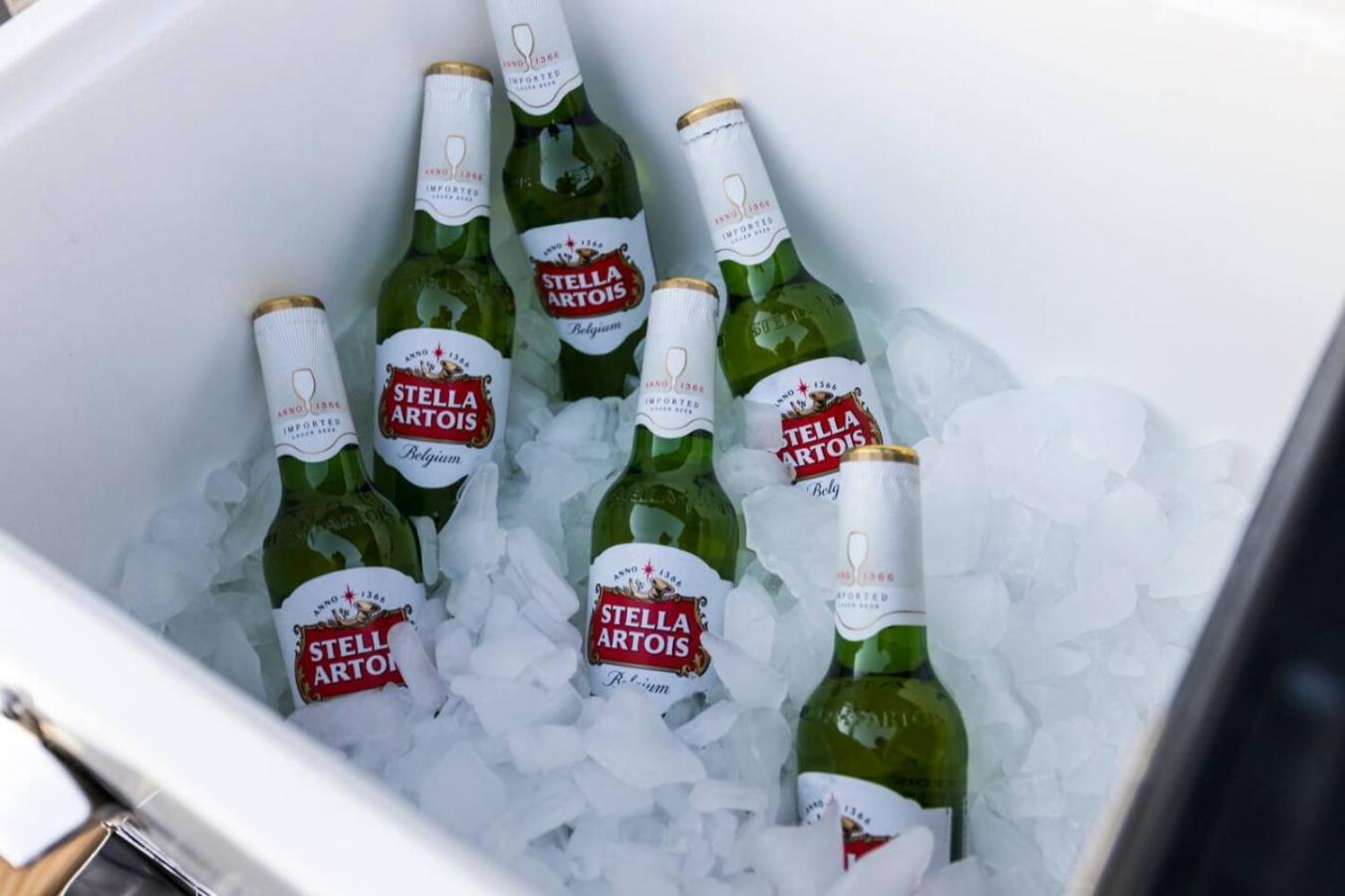 Music Harmony Beautiful Lux Rooftop * Nashville