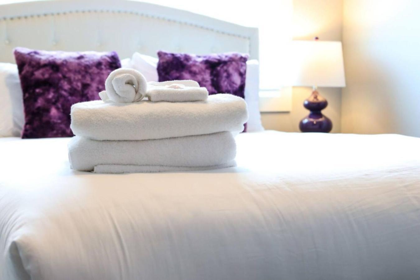 Violet Vogue - Rooftop Patio - Skee-ball Game