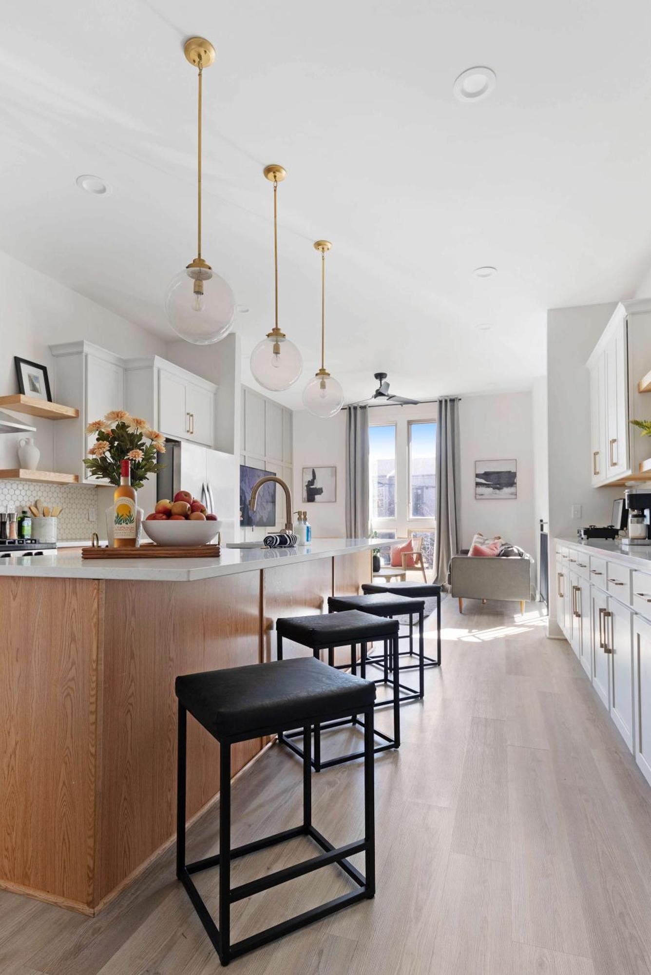 The Camellia - Rooftop Patio & Dog Friendly! Nashville