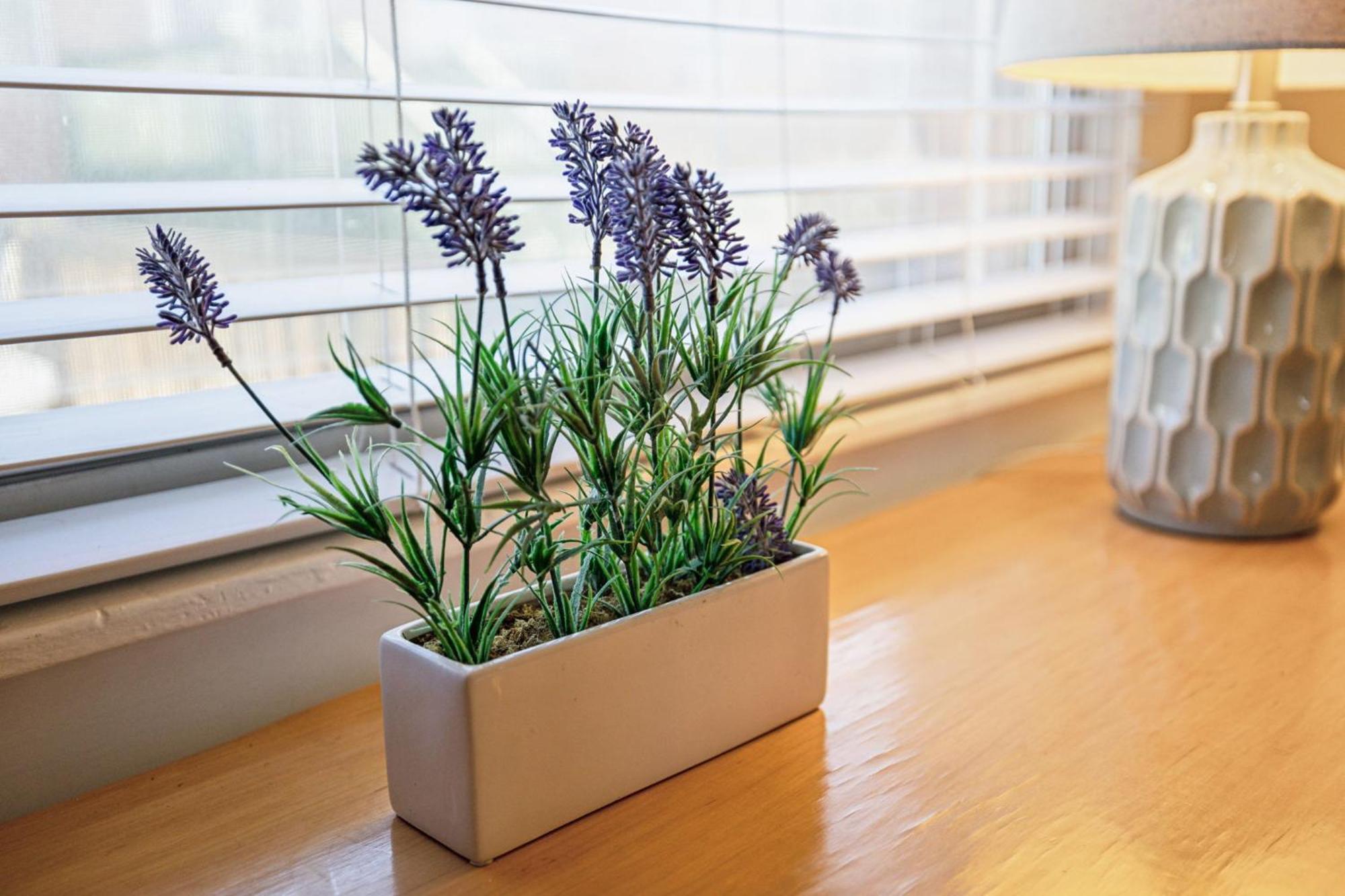 Sunny Delight * Nashville