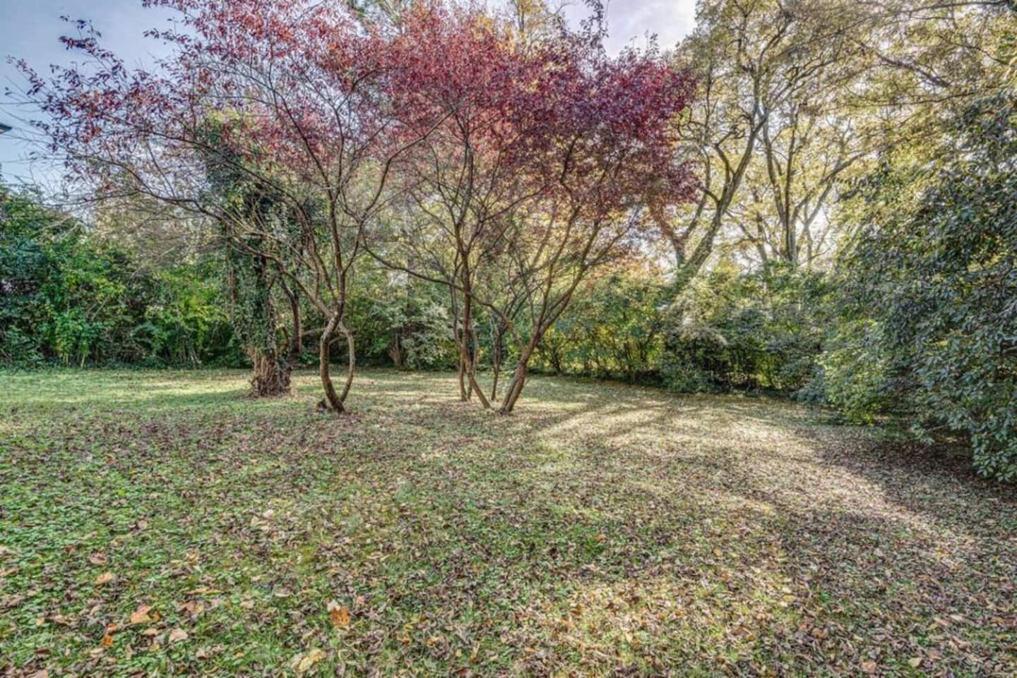 Nashville's Primrose In Hip Belmont Area Nashville