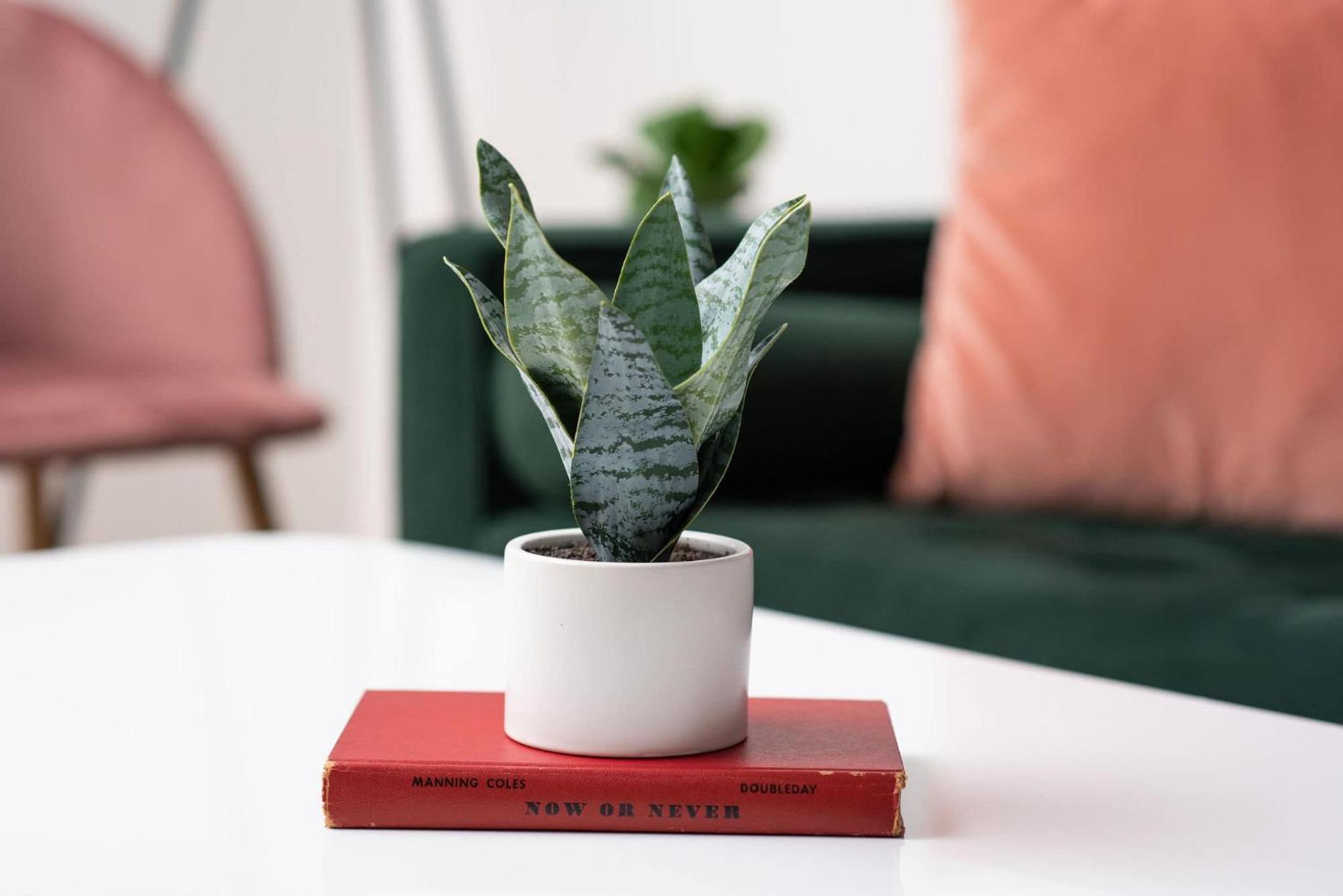 Dolly On Music Row Apartment Nashville