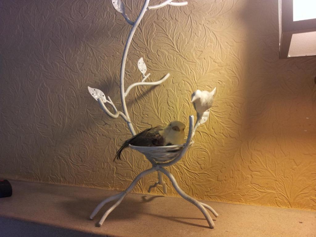 Daisy Hill Nashville