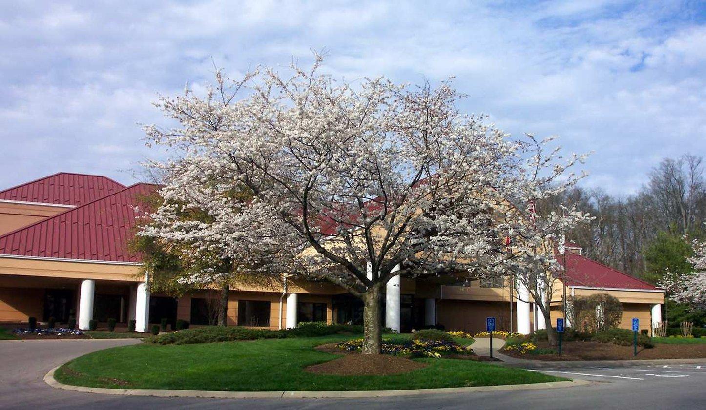 Doubletree By Hilton Airport