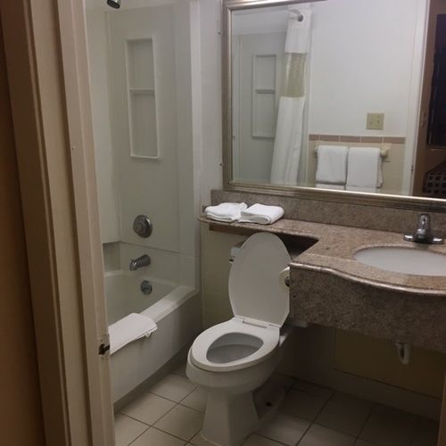 Red Lion & Airport Hotel