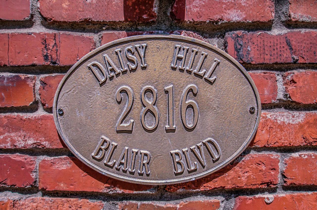Daisy Hill 3*