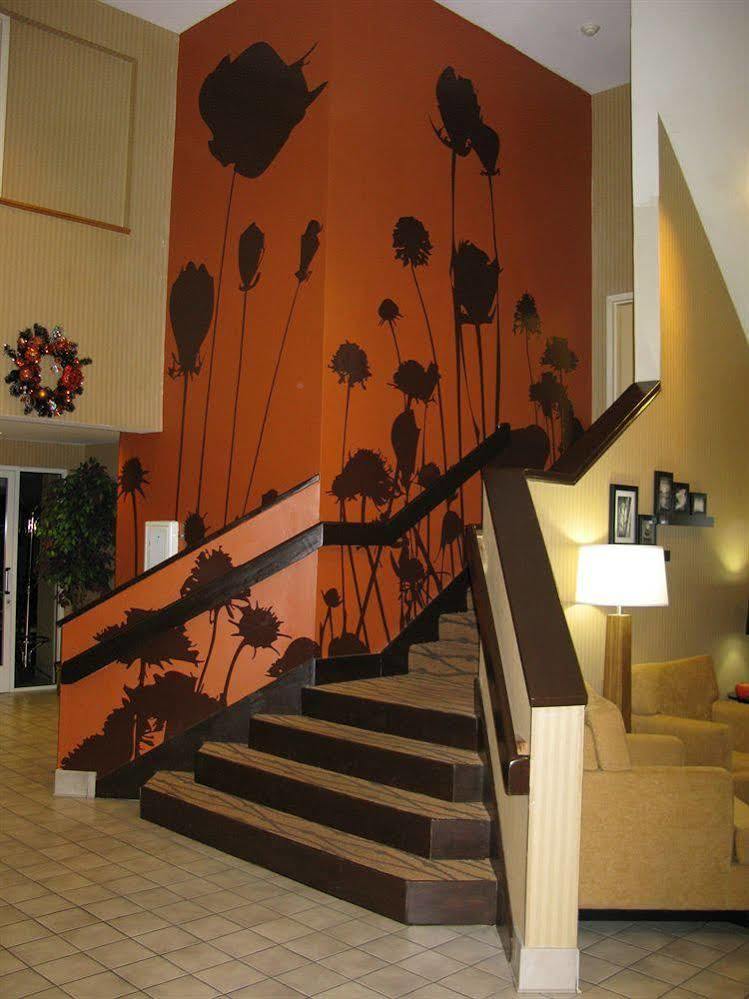 Sleep Near Percy Priest Nashville